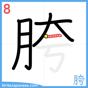 How to write "胯" - stroke 8