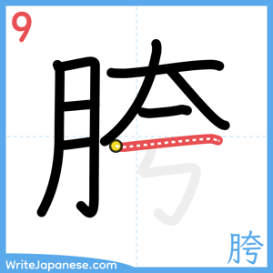 How to write "胯" - stroke 9