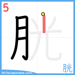 How to write "胱" - stroke 5