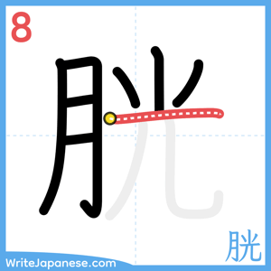 How to write "胱" - stroke 8