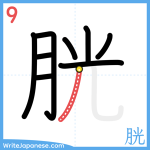 How to write "胱" - stroke 9