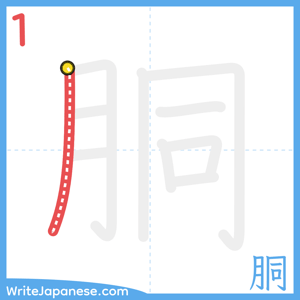 How to write "胴" - stroke 1