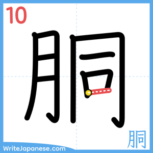 How to write "胴" - stroke 10