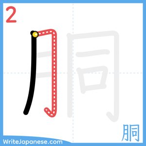 How to write "胴" - stroke 2