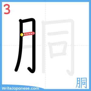 How to write "胴" - stroke 3