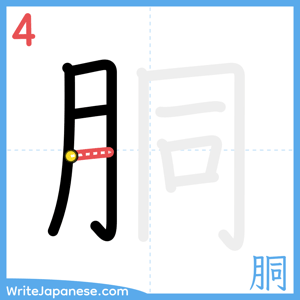 How to write "胴" - stroke 4