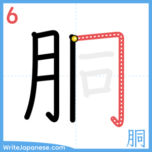 How to write "胴" - stroke 6