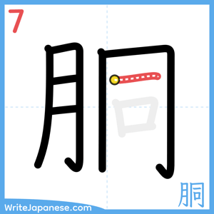 How to write "胴" - stroke 7
