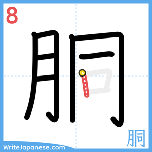 How to write "胴" - stroke 8