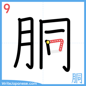 How to write "胴" - stroke 9