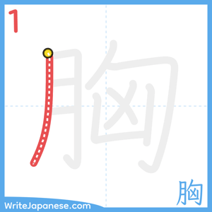 How to write "胸" - stroke 1