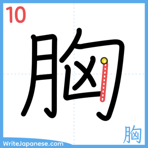 How to write "胸" - stroke 10