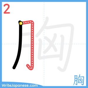 How to write "胸" - stroke 2