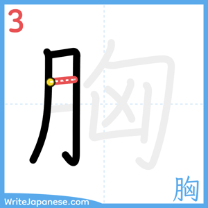 How to write "胸" - stroke 3