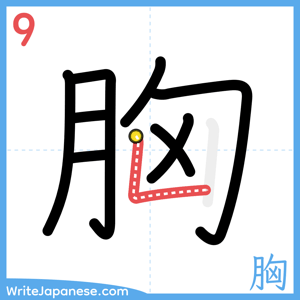 How to write "胸" - stroke 9