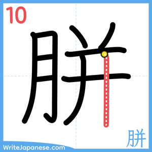 How to write "胼" - stroke 10