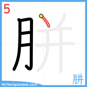 How to write "胼" - stroke 5