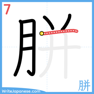 How to write "胼" - stroke 7