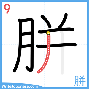 How to write "胼" - stroke 9