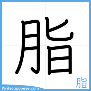 How to write "脂" - complete stroke order