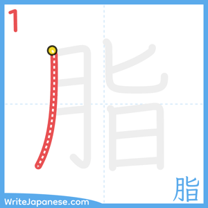 How to write "脂" - stroke 1