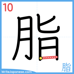 How to write "脂" - stroke 10