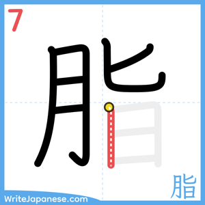 How to write "脂" - stroke 7