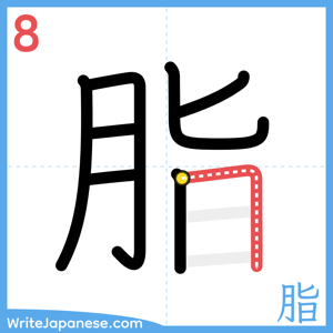 How to write "脂" - stroke 8