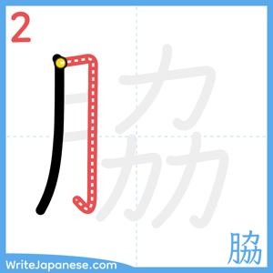 How to write "脇" - stroke 2