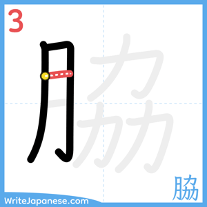 How to write "脇" - stroke 3