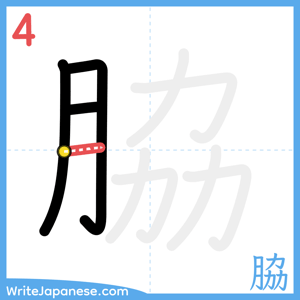 How to write "脇" - stroke 4