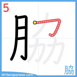How to write "脇" - stroke 5