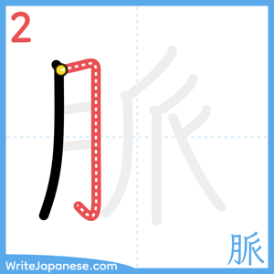 How to write "脈" - stroke 2