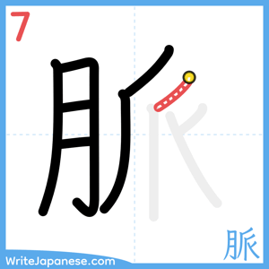 How to write "脈" - stroke 7