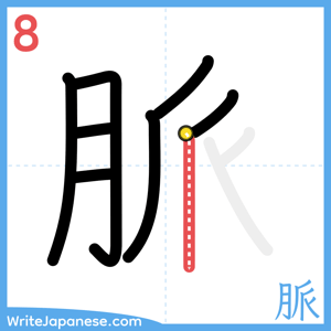 How to write "脈" - stroke 8