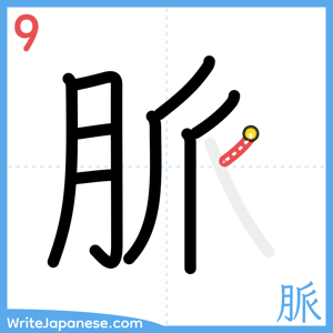 How to write "脈" - stroke 9