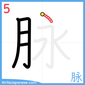 How to write "脉" - stroke 5