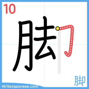 How to write "脚" - stroke 10