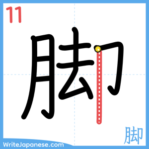 How to write "脚" - stroke 11