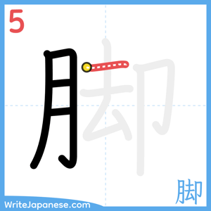 How to write "脚" - stroke 5