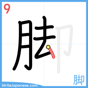 How to write "脚" - stroke 9