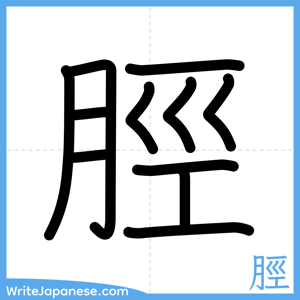 How to write "脛" - complete stroke order