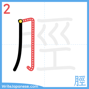 How to write "脛" - stroke 2