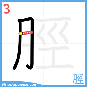 How to write "脛" - stroke 3