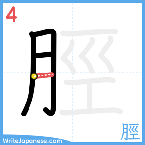 How to write "脛" - stroke 4