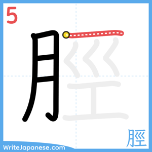 How to write "脛" - stroke 5