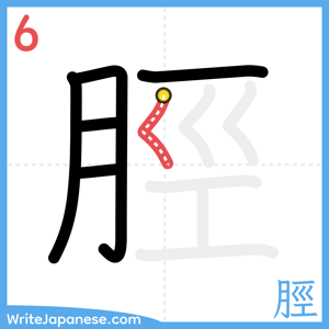 How to write "脛" - stroke 6