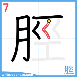 How to write "脛" - stroke 7