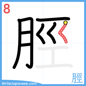 How to write "脛" - stroke 8