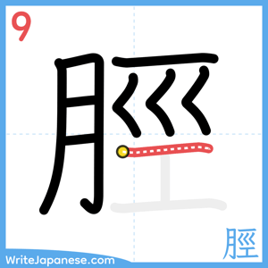 How to write "脛" - stroke 9